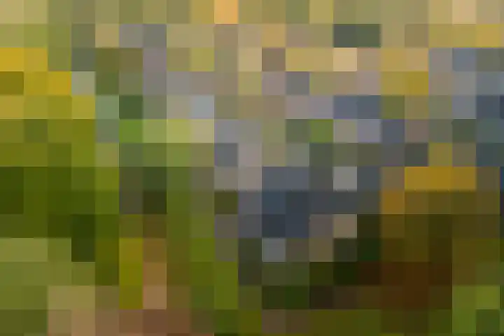 Bloemengaard 23 Doorn thumbnail 23