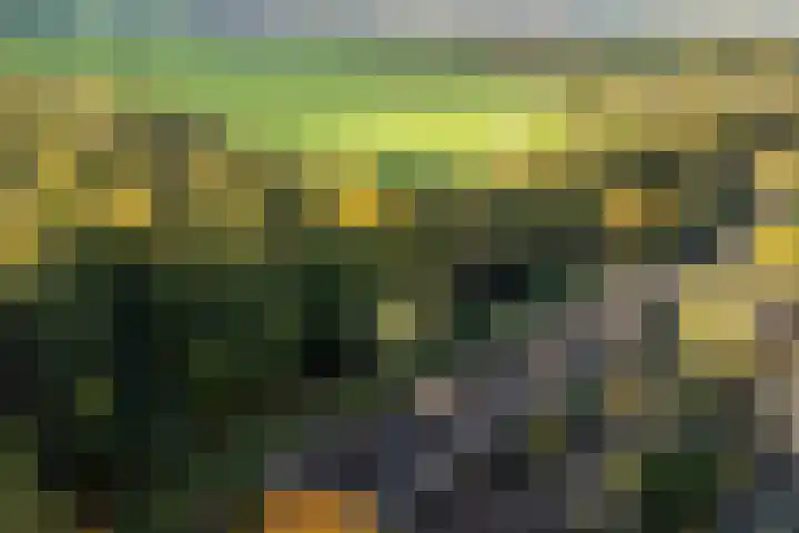 Bloemengaard 23 Doorn thumbnail 24