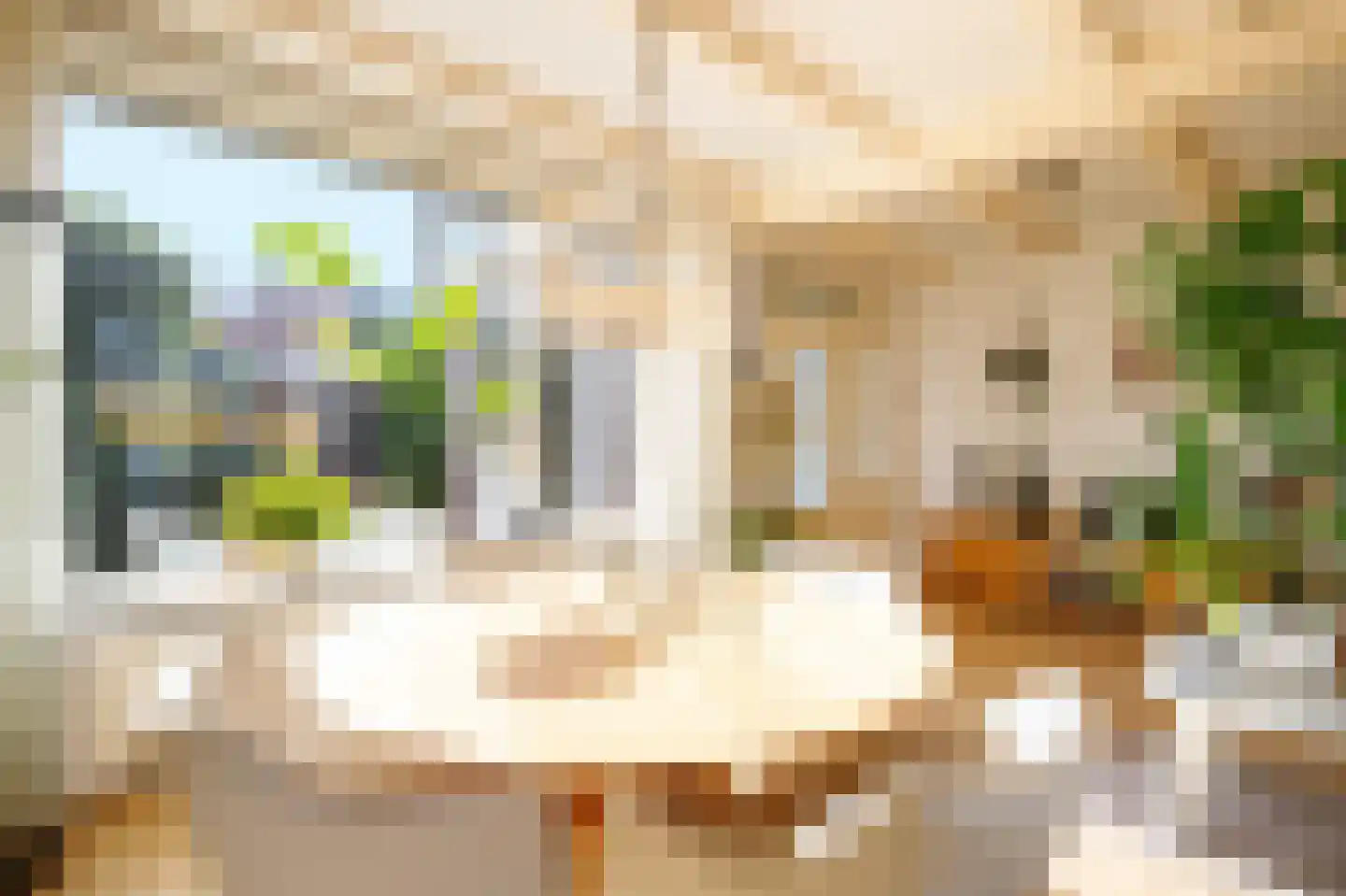 Bloemengaarde 36 Bergambacht thumbnail 11