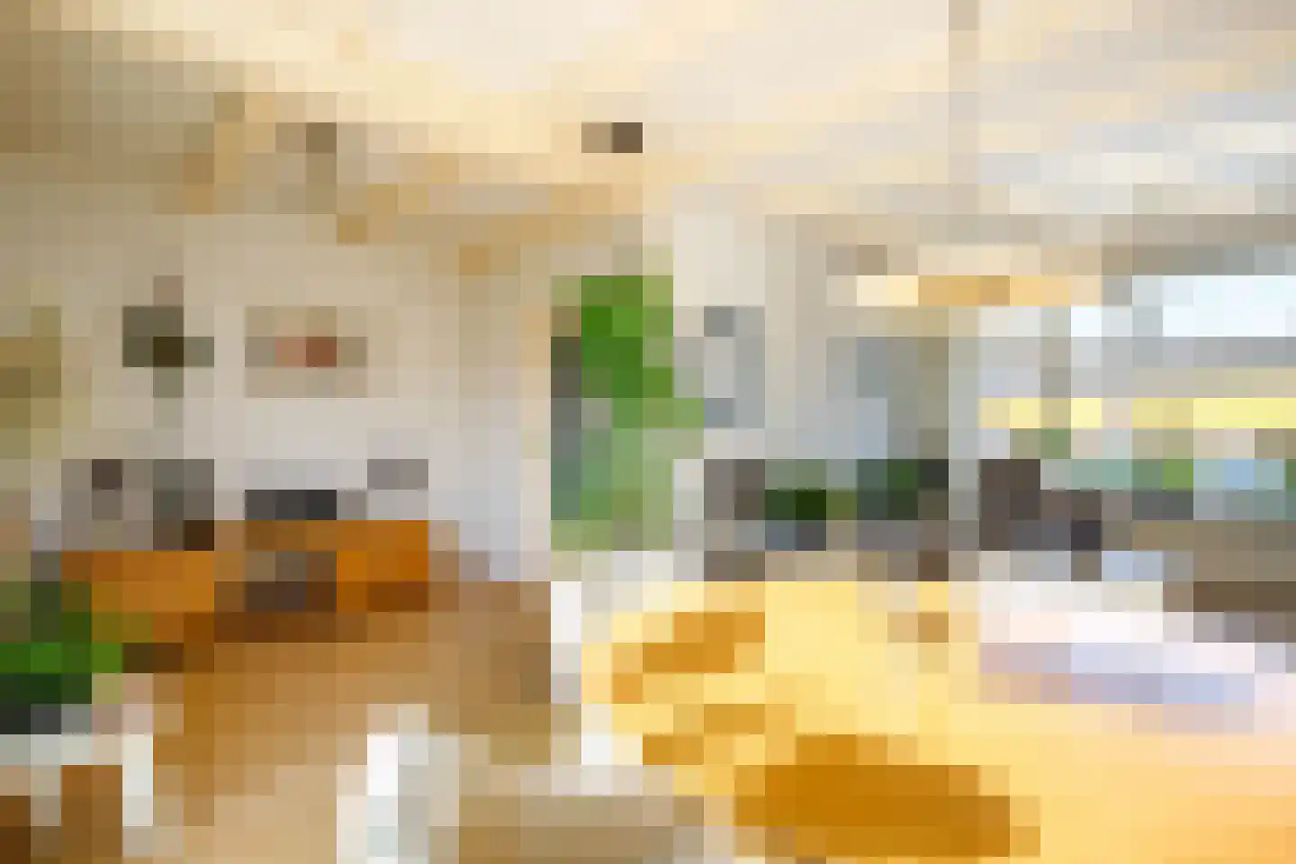 Bloemengaarde 36 Bergambacht thumbnail 12