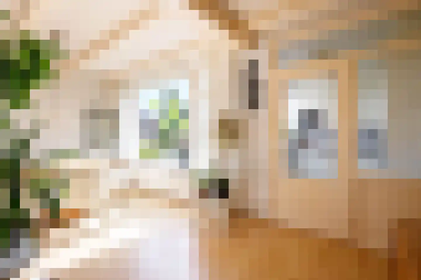 Bloemengaarde 36 Bergambacht thumbnail 13