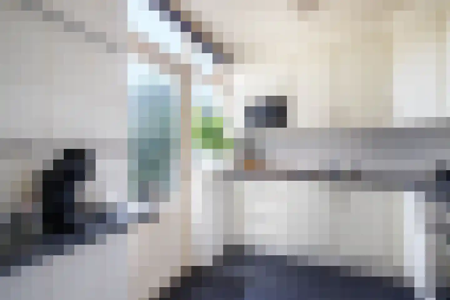 Bloemengaarde 36 Bergambacht thumbnail 16