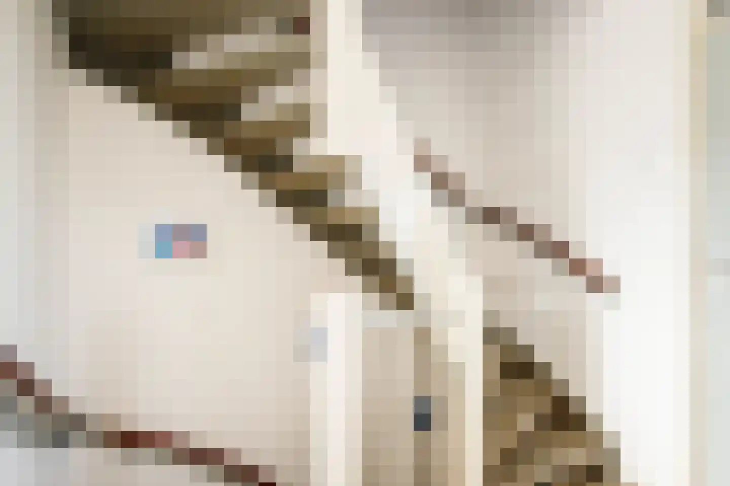 Bloemengaarde 36 Bergambacht thumbnail 17