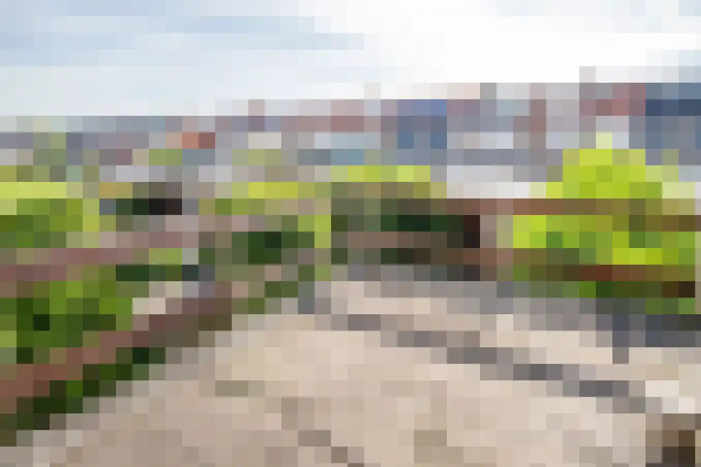 Bloemengaarde 36 Bergambacht thumbnail 23