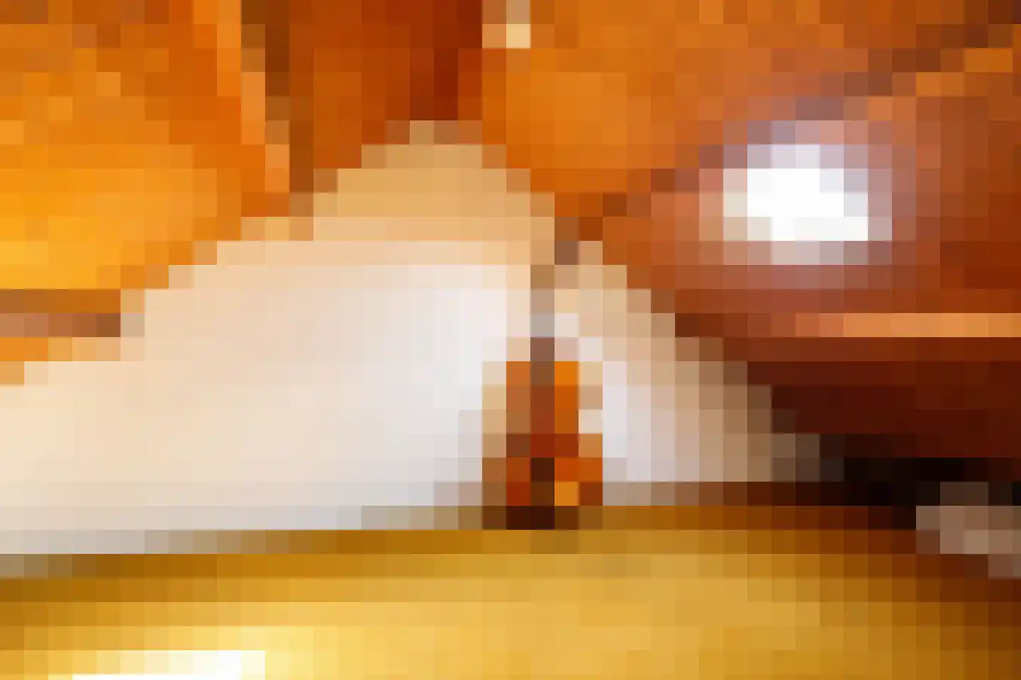 Bloemengaarde 36 Bergambacht thumbnail 26