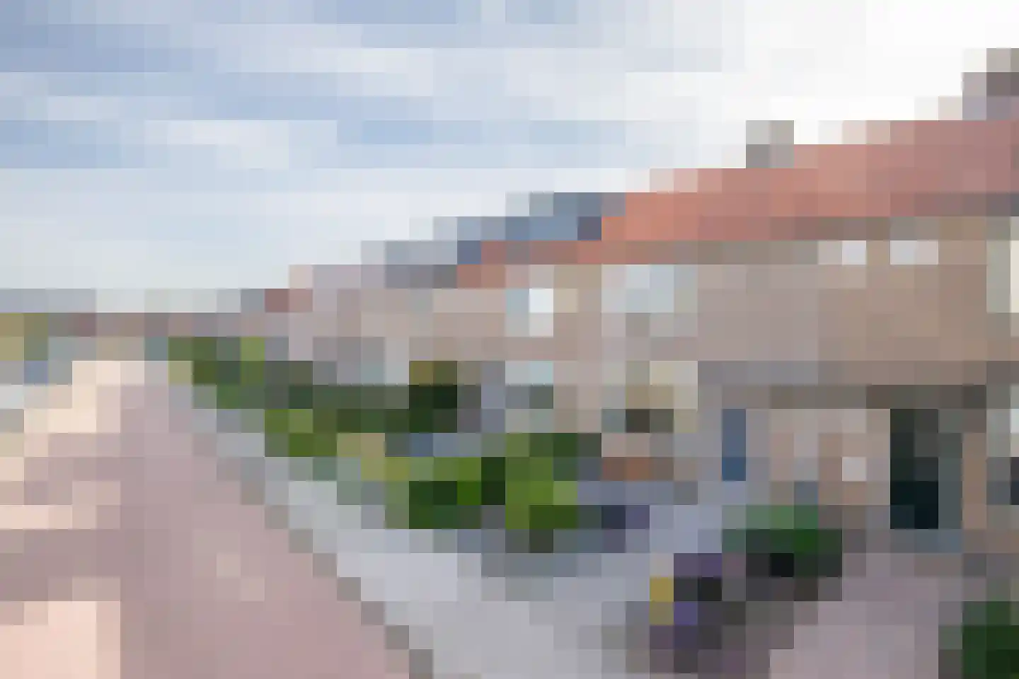 Bloemengaarde 36 Bergambacht thumbnail 27
