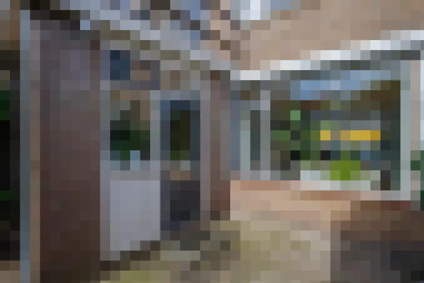 Bloemengaarde 36 Bergambacht thumbnail 29