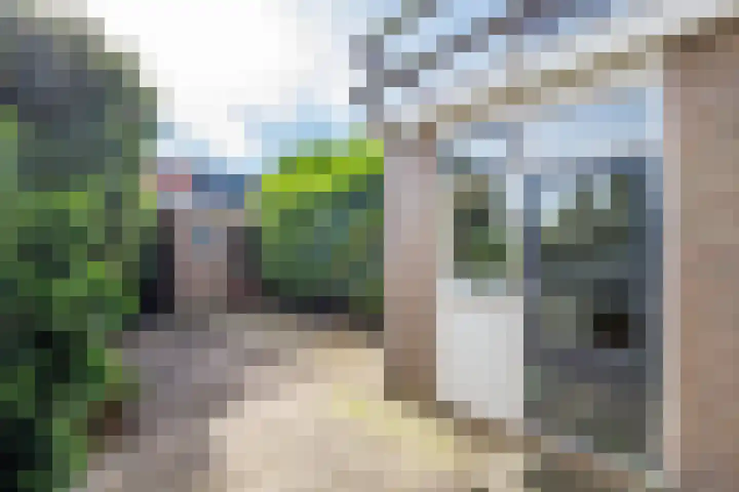 Bloemengaarde 36 Bergambacht thumbnail 30
