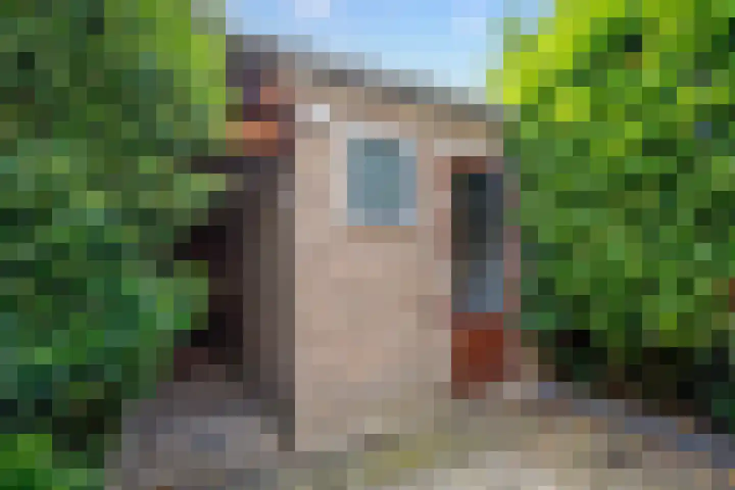 Bloemengaarde 36 Bergambacht thumbnail 32