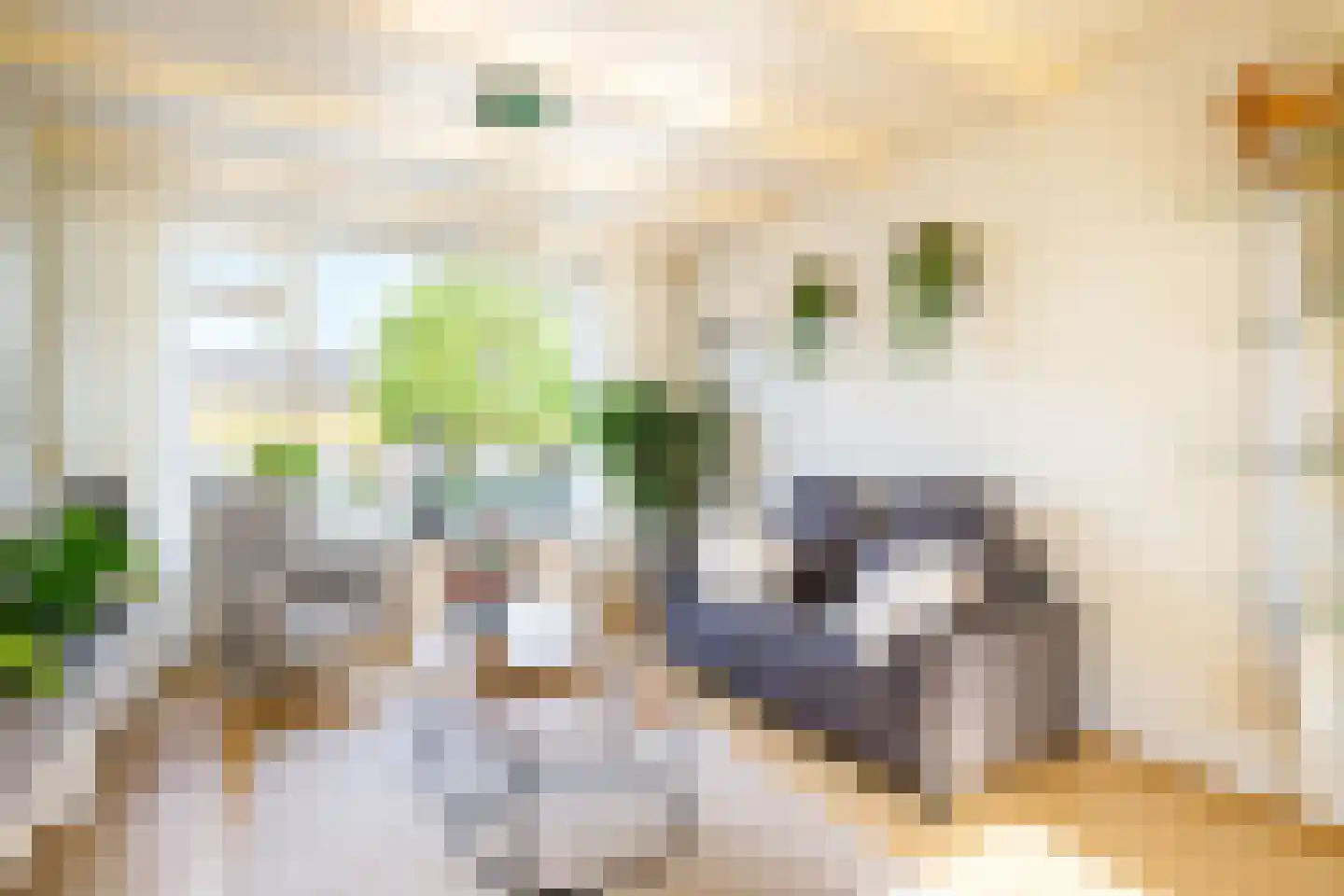Bloemengaarde 36 Bergambacht thumbnail 8