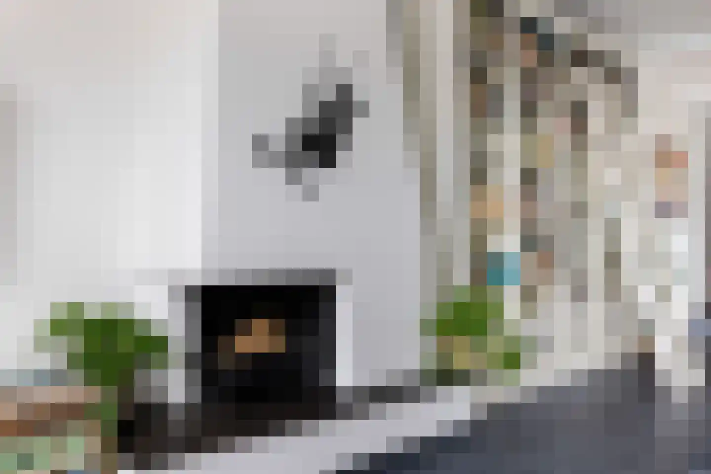Bloemenheuvellaan 21 Zeist thumbnail 10