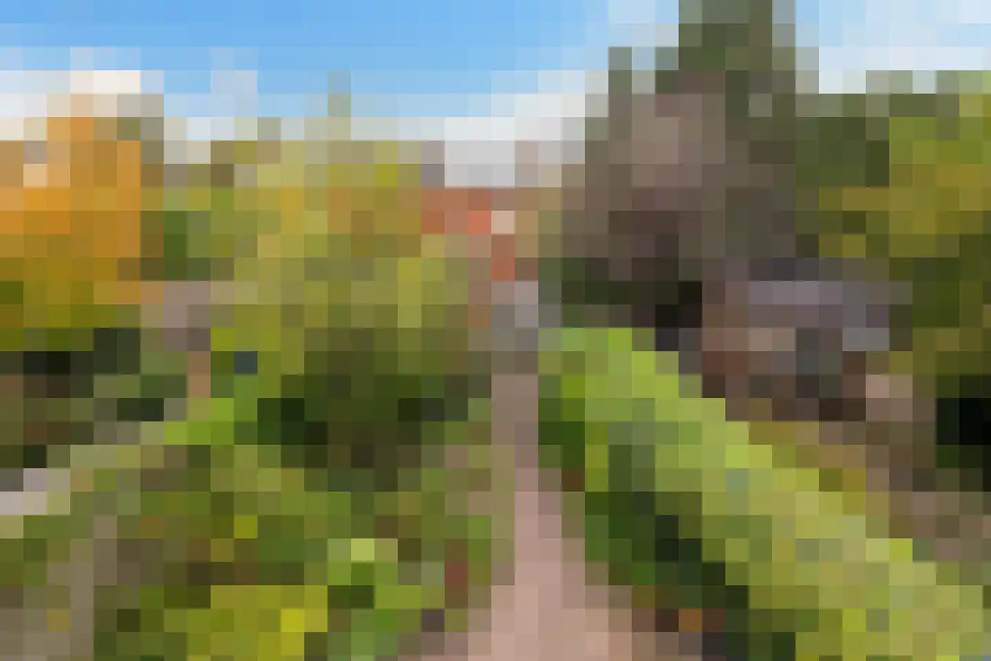 Bloemenheuvellaan 21 Zeist thumbnail 38