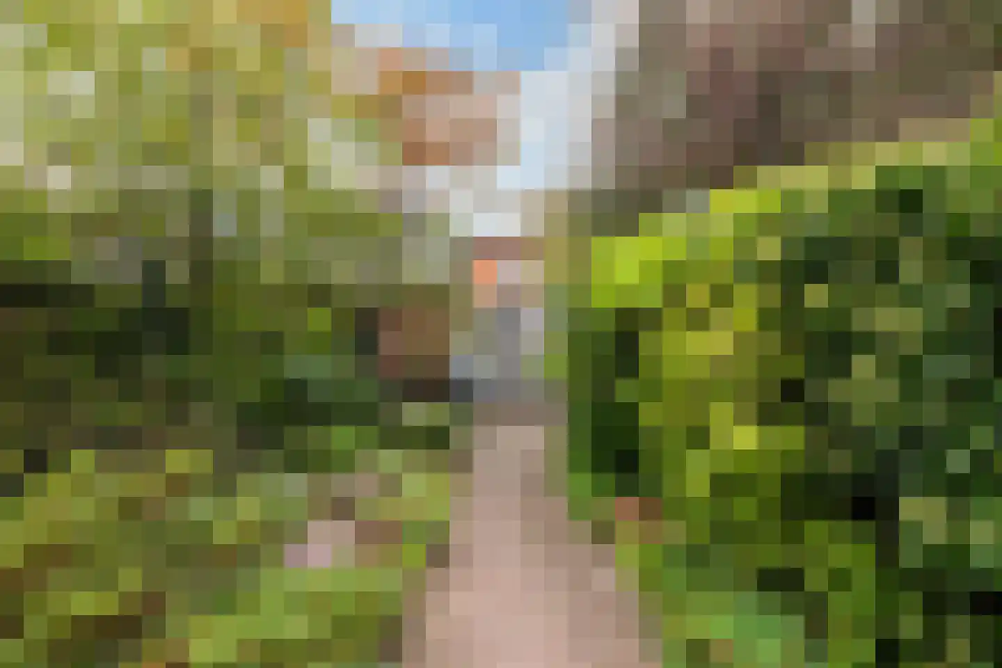 Bloemenheuvellaan 21 Zeist thumbnail 45