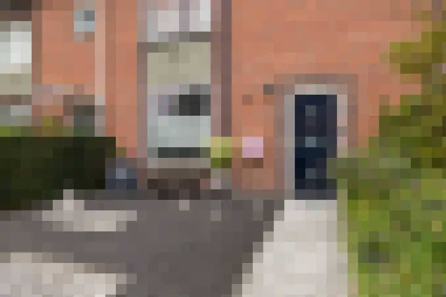 Bloemenheuvellaan 21 Zeist thumbnail 59