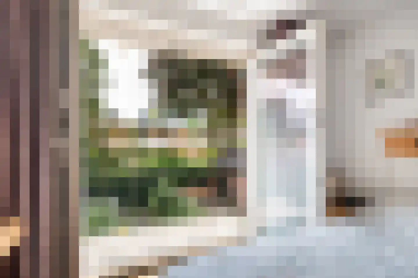 Bloemenheuvellaan 28 Zeist thumbnail 29