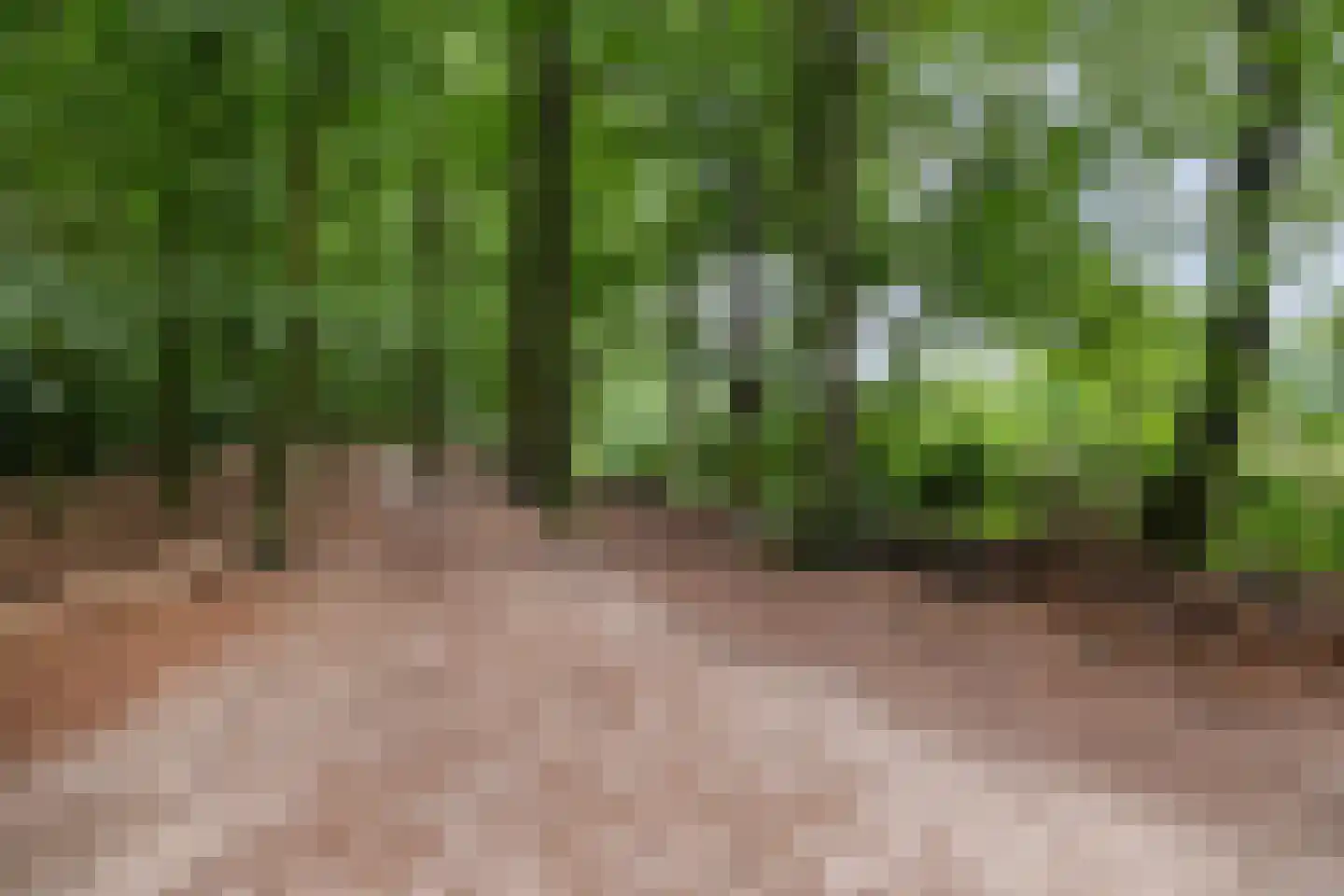 Bloemenheuvellaan 28 Zeist thumbnail 37