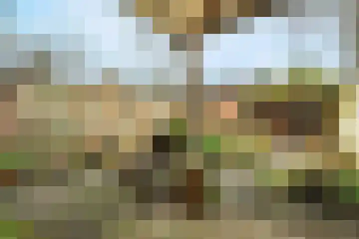 Bloemenheuvellaan 9 Zeist thumbnail 14