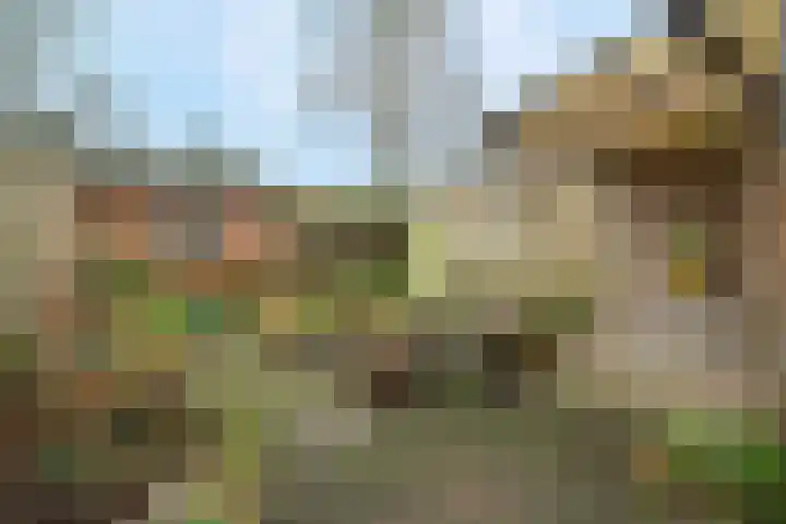 Bloemenheuvellaan 9 Zeist thumbnail 15