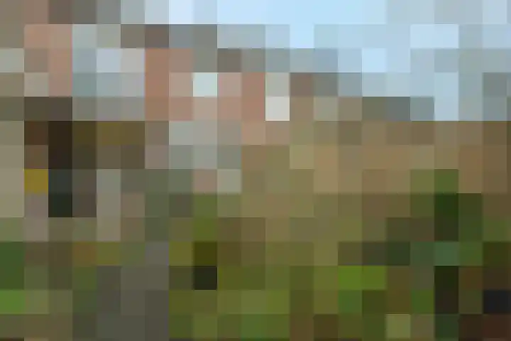 Bloemenheuvellaan 9 Zeist thumbnail 17
