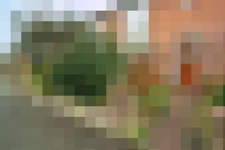 Bloemenheuvellaan 9 Zeist thumbnail 18