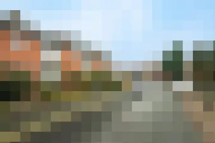 Bloemenheuvellaan 9 Zeist thumbnail 19