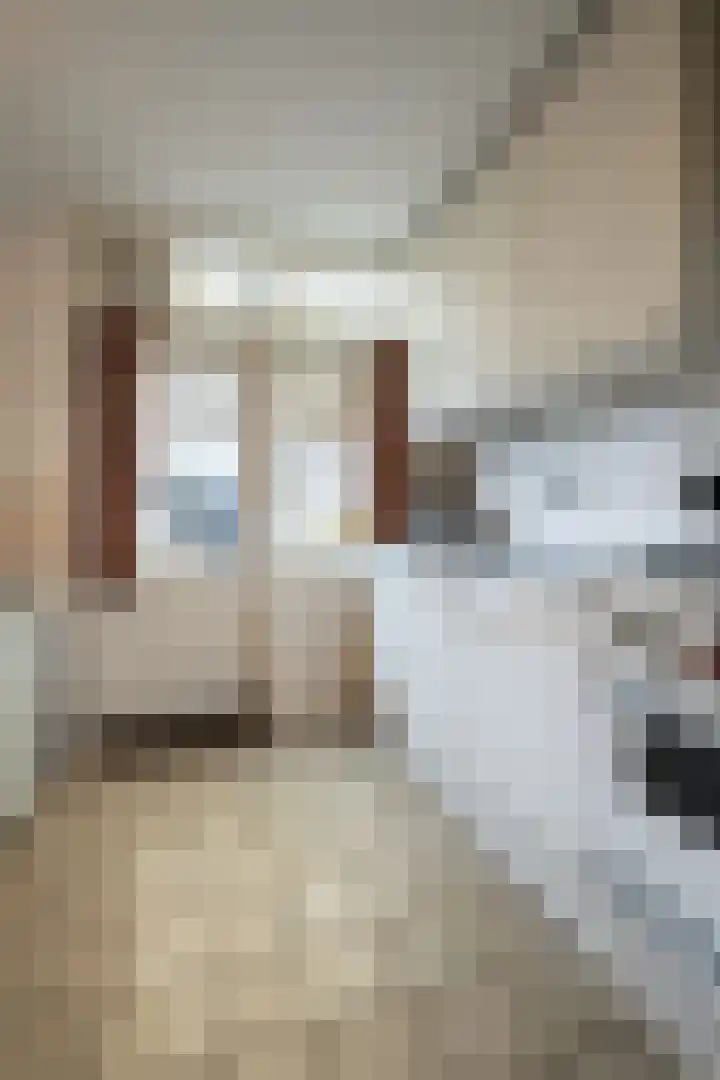 Bloemenheuvellaan 9 Zeist thumbnail 6
