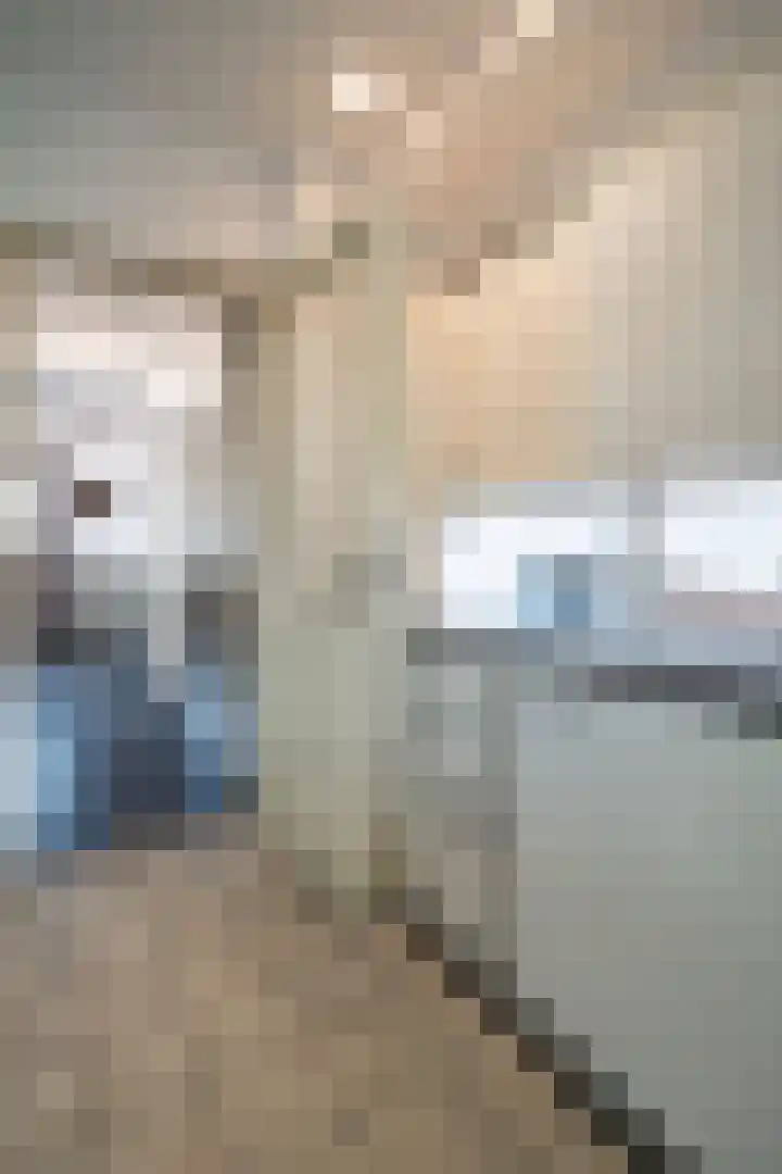 Bloemenheuvellaan 9 Zeist thumbnail 7