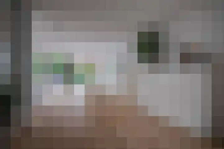 Bloemenhoeve 6 Arnhem thumbnail 13