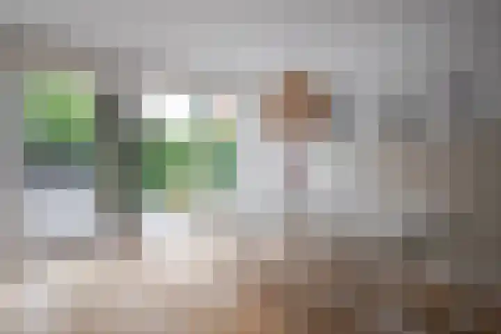 Bloemenhoeve 6 Arnhem thumbnail 14