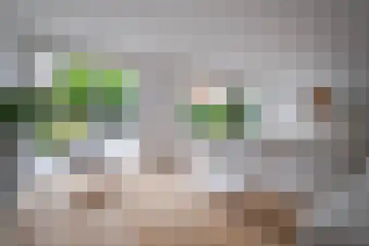Bloemenhoeve 6 Arnhem thumbnail 17