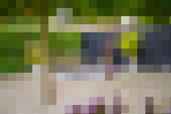 Bloemenhoeve 6 Arnhem thumbnail 20