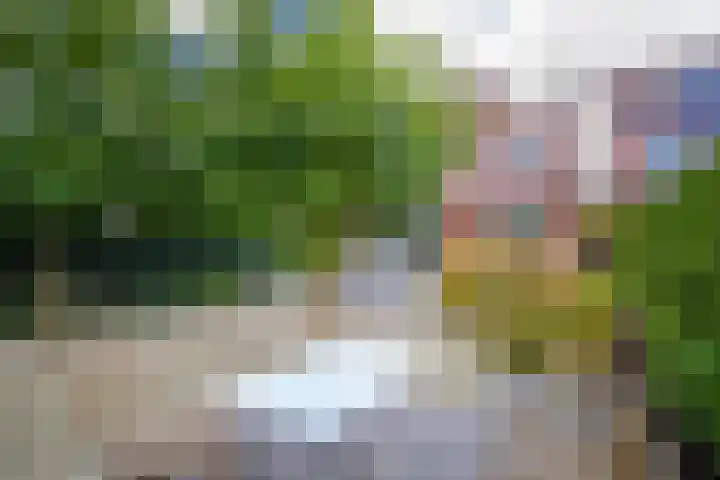 Bloemenhoeve 6 Arnhem thumbnail 21