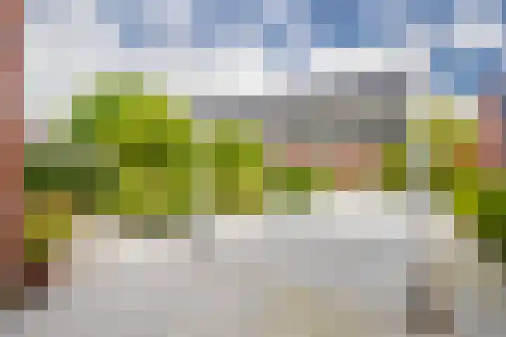 Bloemenhoeve 6 Arnhem thumbnail 39
