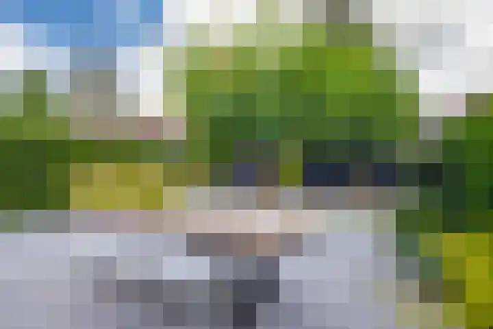 Bloemenhoeve 6 Arnhem thumbnail 4