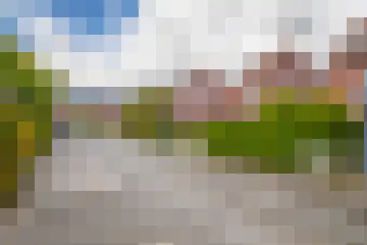 Bloemenhoeve 6 Arnhem thumbnail 40
