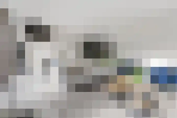 Bloemenhoeve 8 Arnhem thumbnail 13