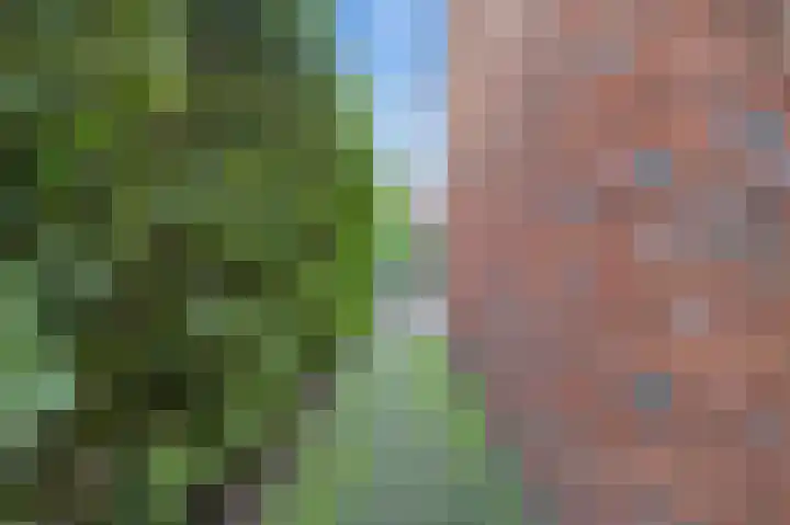 Bloemenhoeve 8 Arnhem thumbnail 38