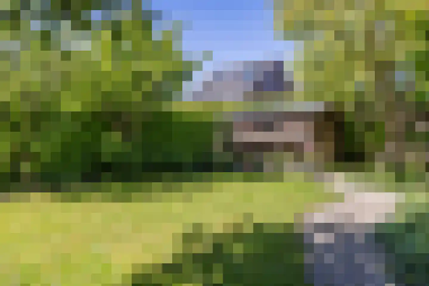 Bloemenhoeve 9 Arnhem thumbnail 18