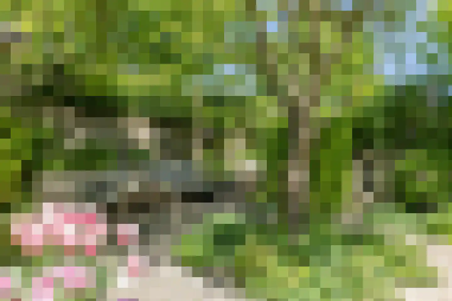 Bloemenhoeve 9 Arnhem thumbnail 19