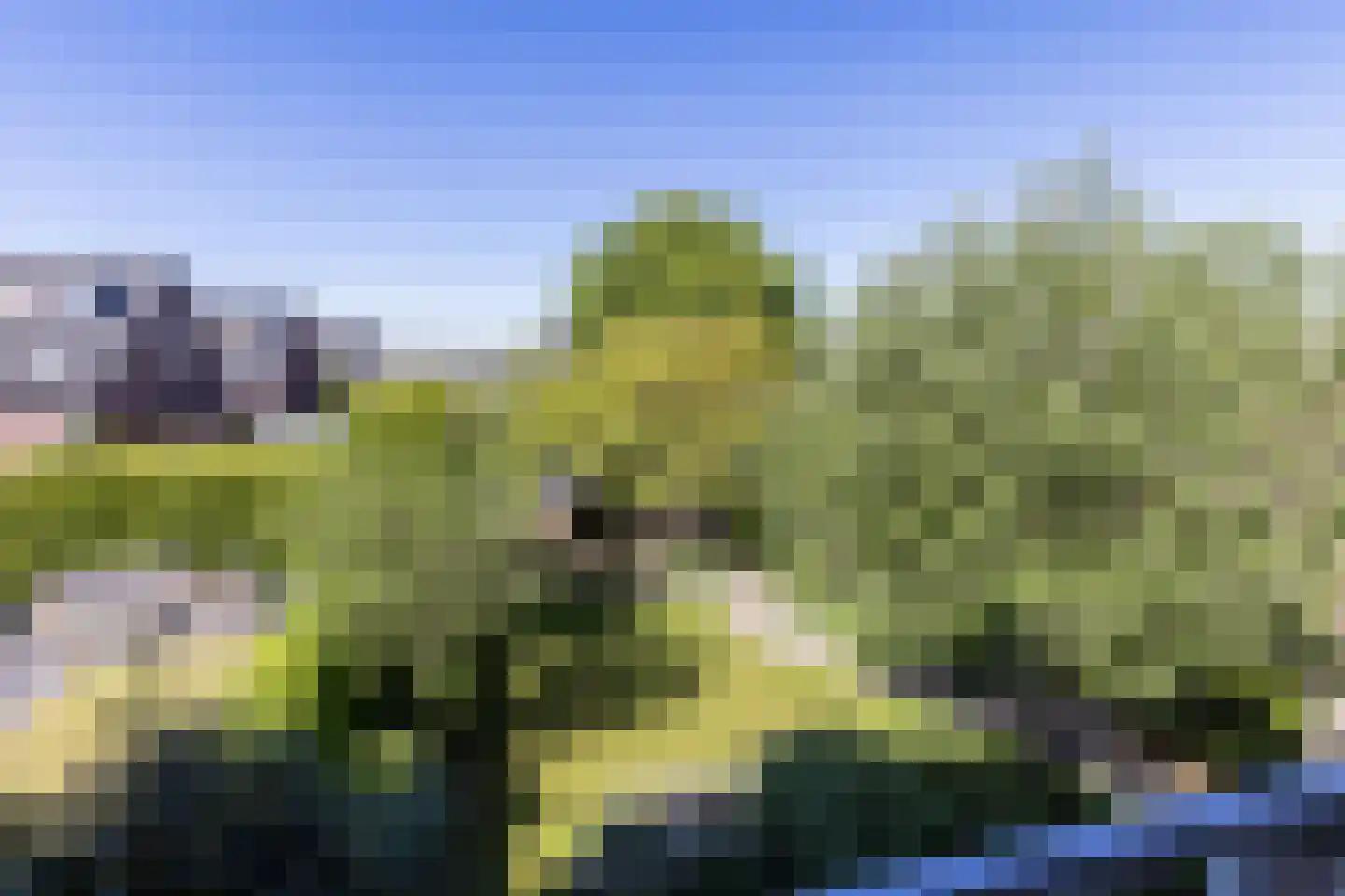 Bloemenhoeve 9 Arnhem thumbnail 28
