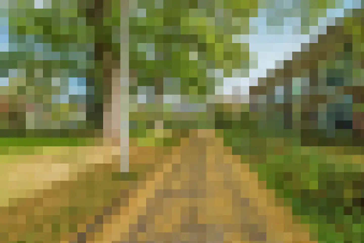 Bloemenhof 22 1 Lent thumbnail 30