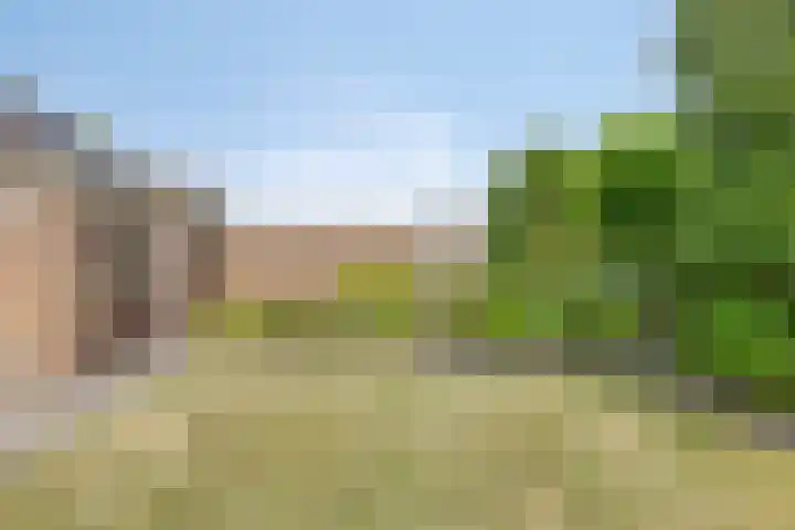 Bloemenkamplaan 14 Oldenzaal thumbnail 27