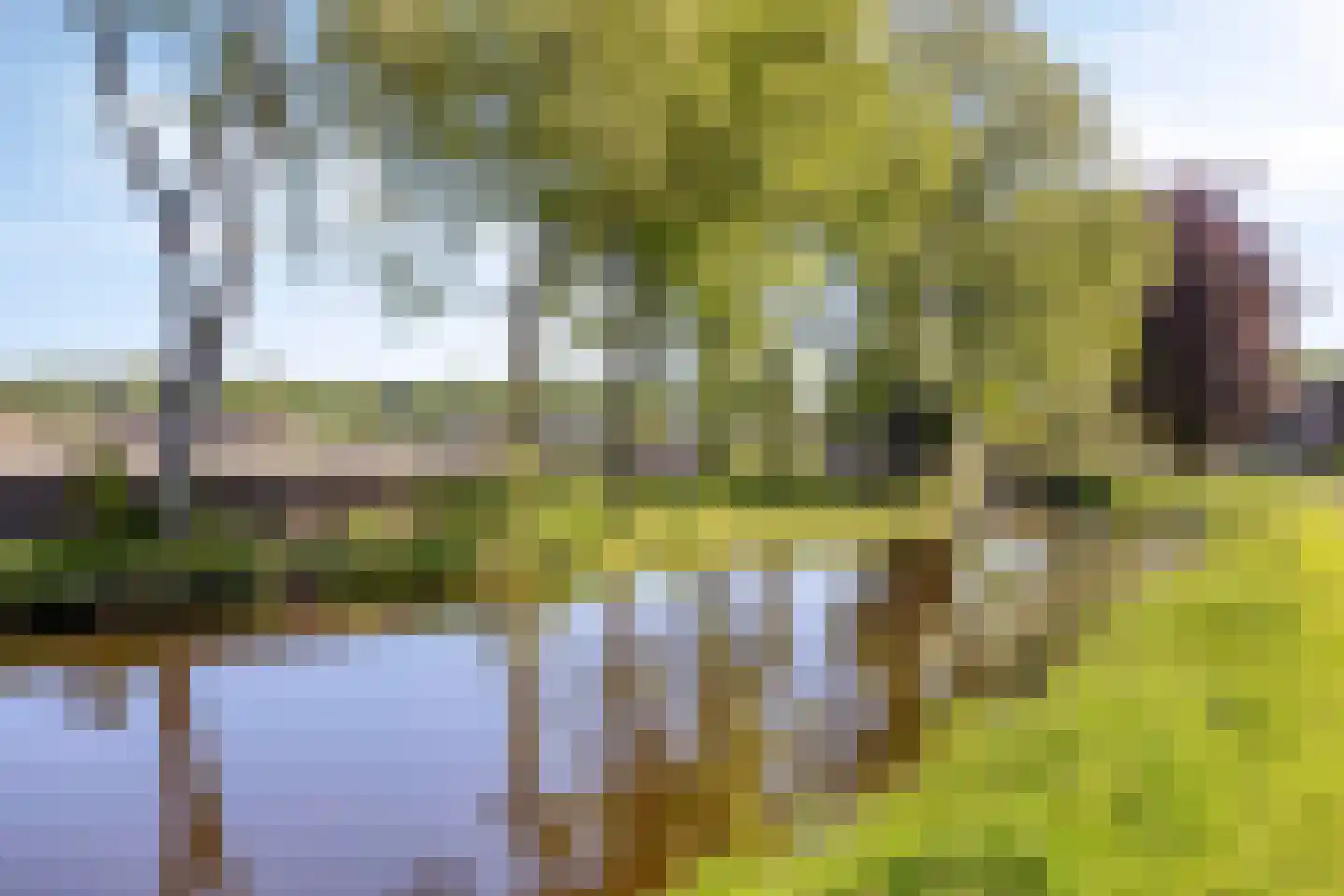 Bloemenkamplaan 8 Oldenzaal thumbnail 27