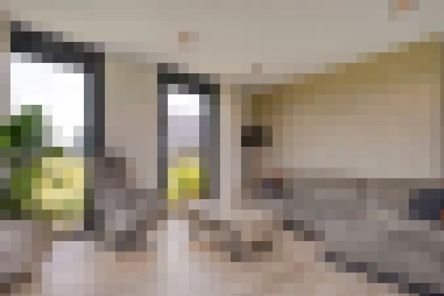 Bloemenkampsweg 13 Luttenberg thumbnail 23