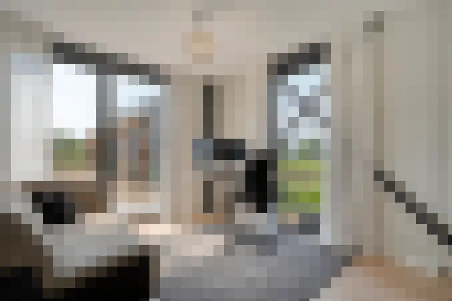 Bloemenkampsweg 13 Luttenberg thumbnail 39