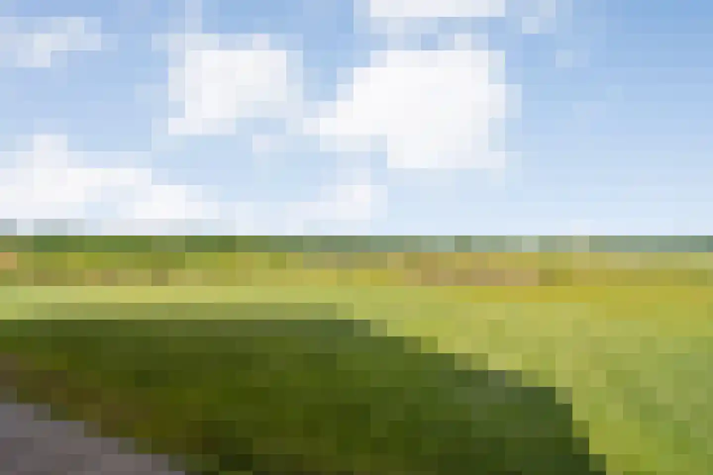 Bloemenkampsweg 13 Luttenberg thumbnail 60