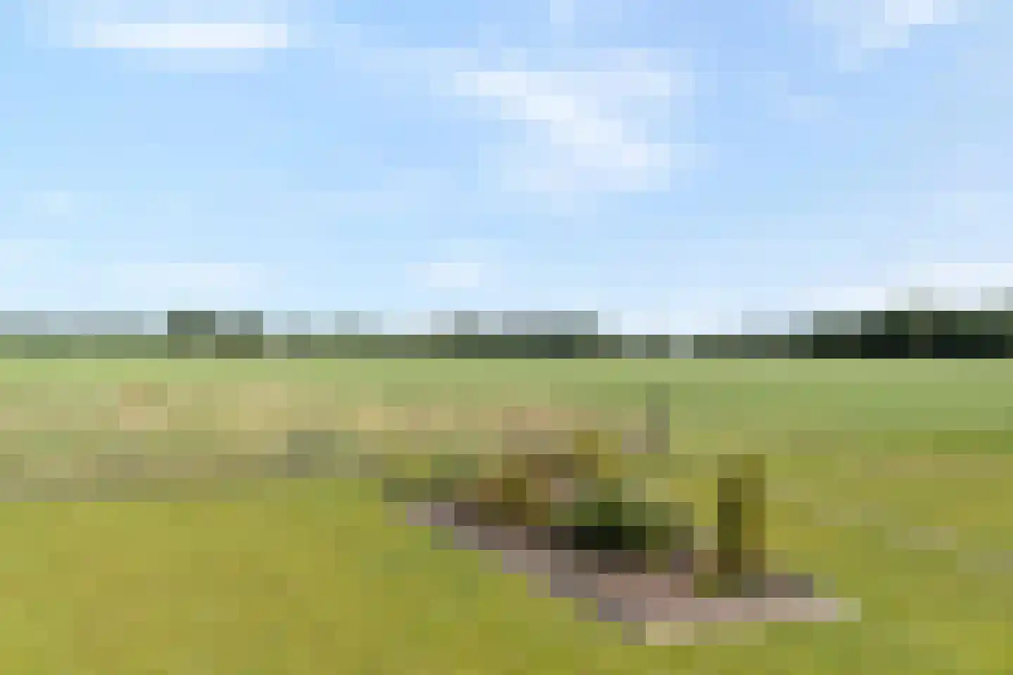 Bloemenkampsweg 13 Luttenberg thumbnail 62