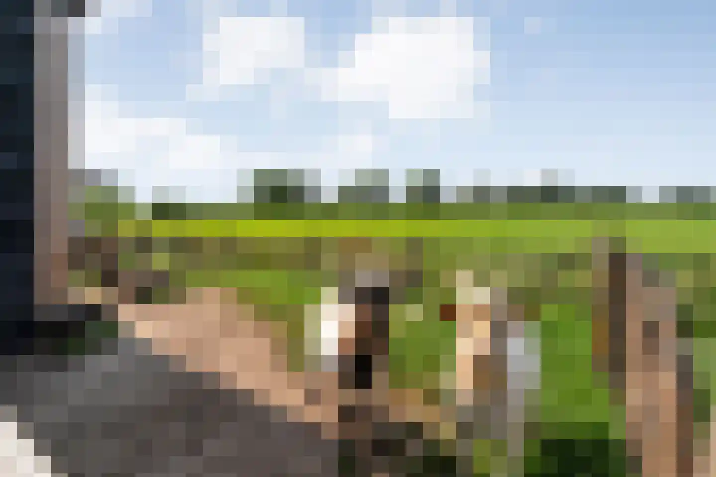 Bloemenkampsweg 13 Luttenberg thumbnail 63