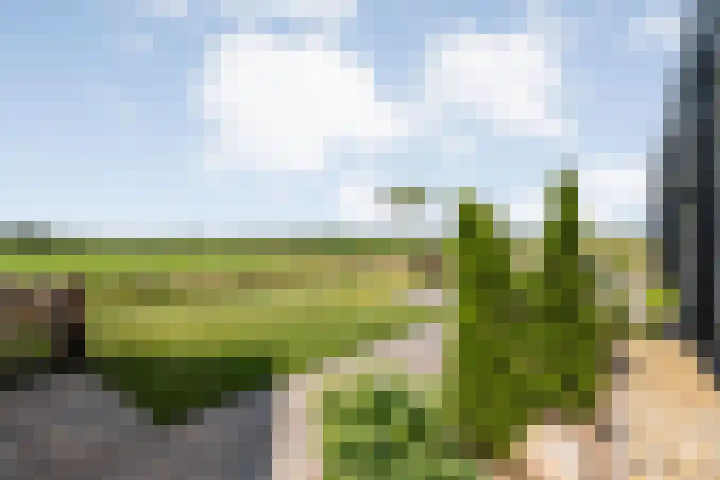 Bloemenkampsweg 13 Luttenberg thumbnail 64
