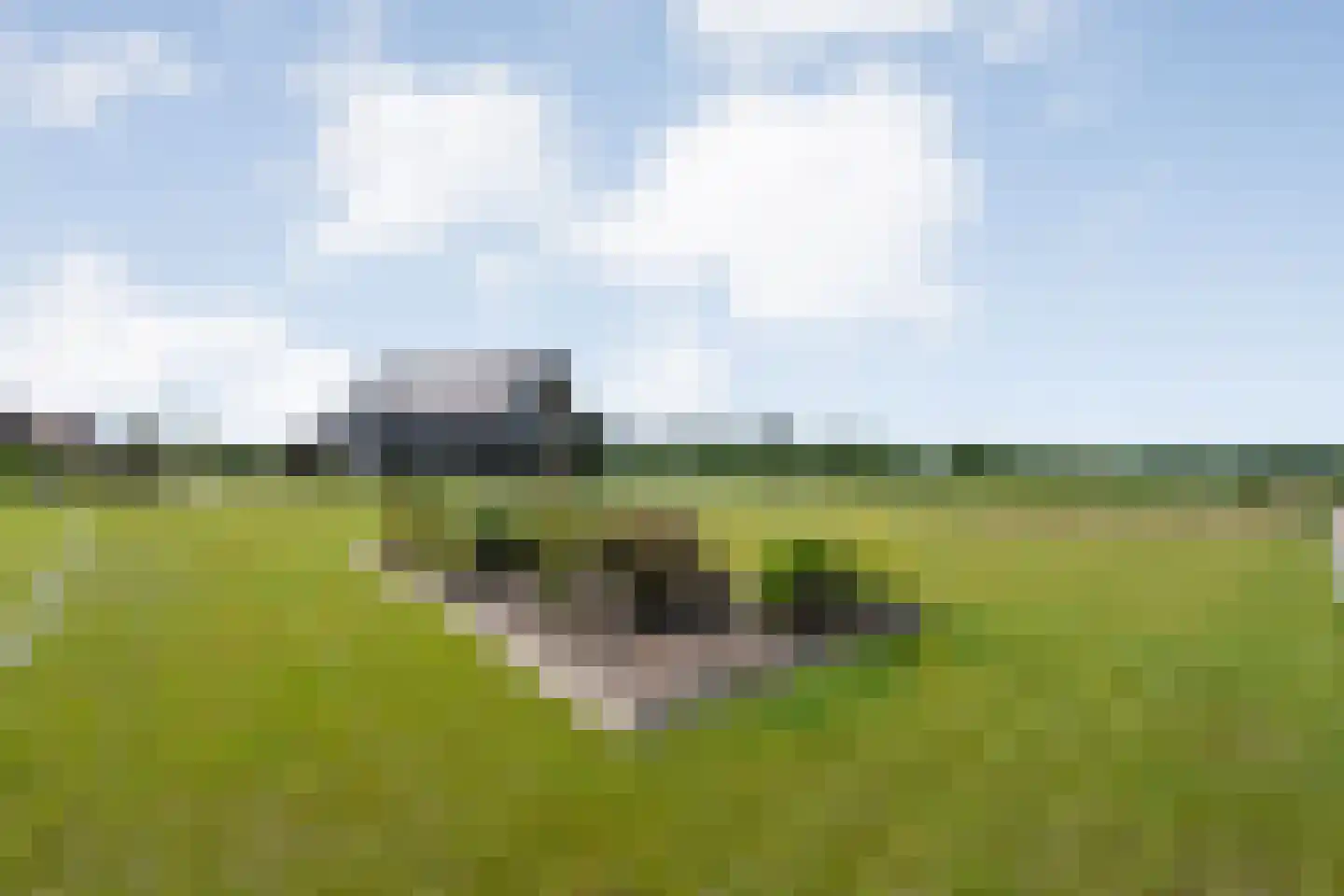 Bloemenkampsweg 13 Luttenberg thumbnail 68